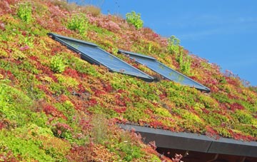 Low Waters living roof systems