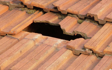 roof repair Low Waters, South Lanarkshire